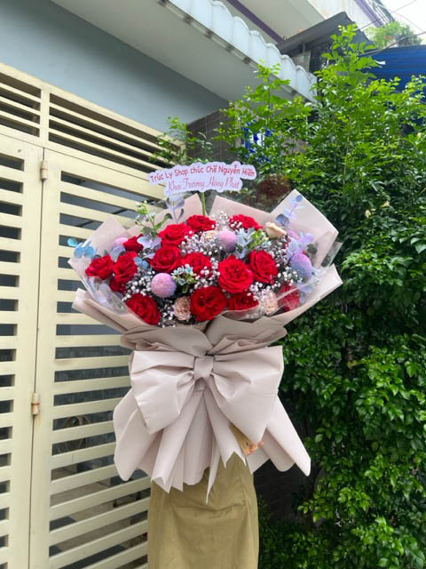 HỒNG ĐỎ KIÊU SA